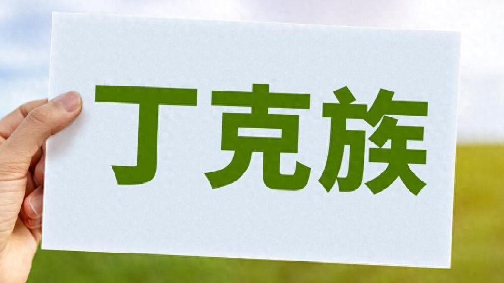 丁克夫妻生育观冲突 不要孩子感情如何维系