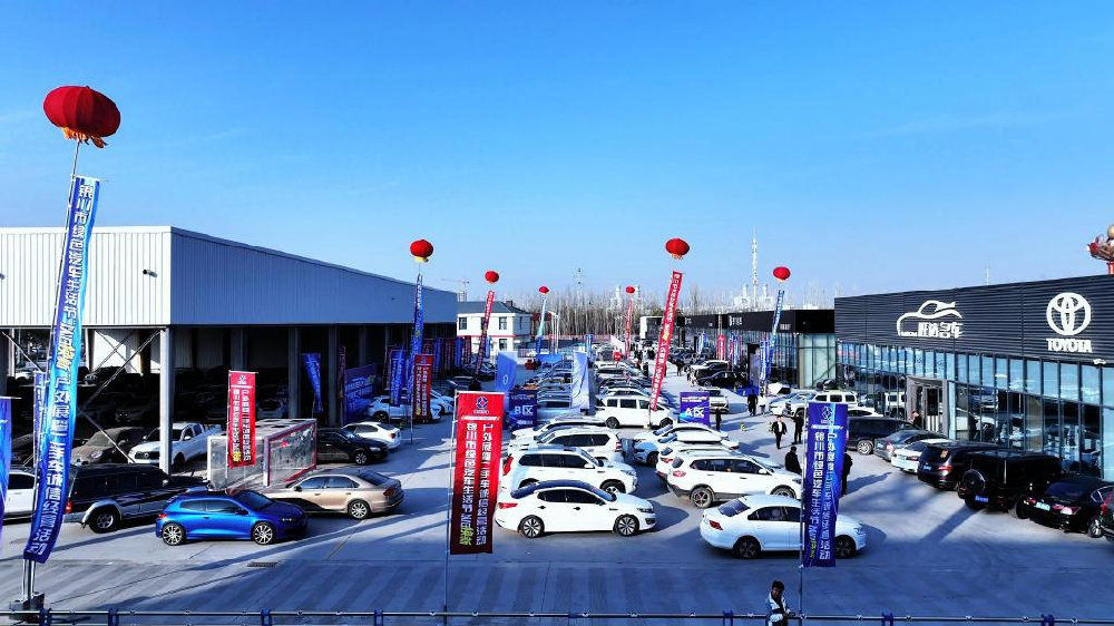 西部汽车城车展再创佳绩 银川绿色汽车生活节圆满收官