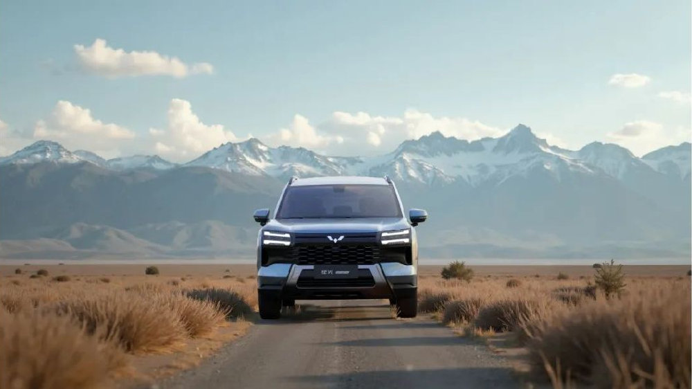 硬派颜值，全动力覆盖，可选7座，五菱星光560实力出圈