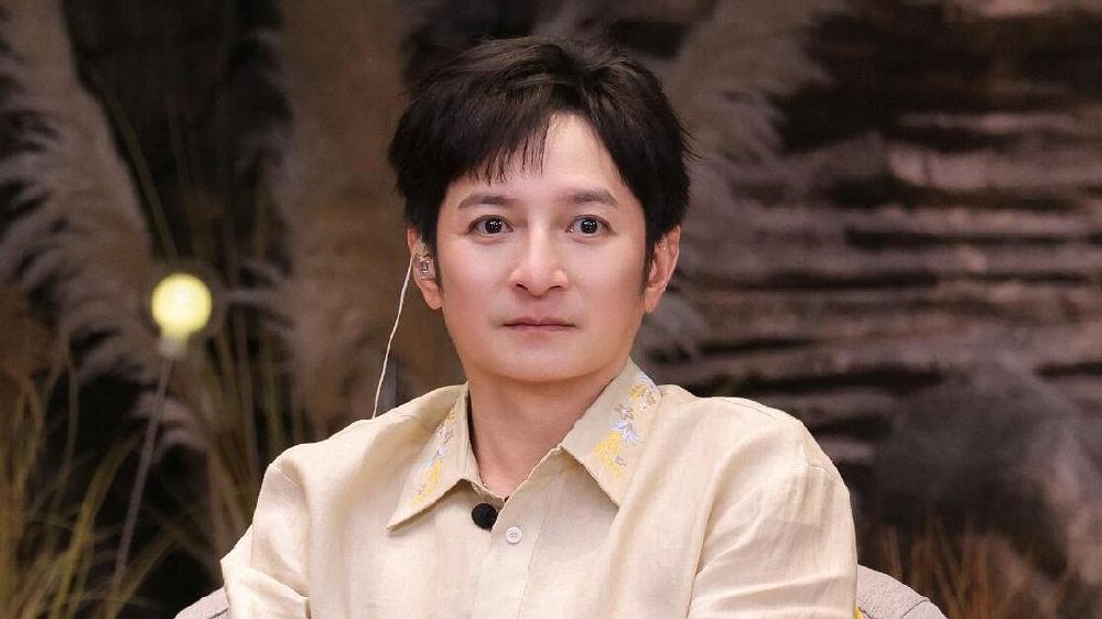 听完维嘉的解释，我终于明白了李施嬅为啥要跟观众对着干