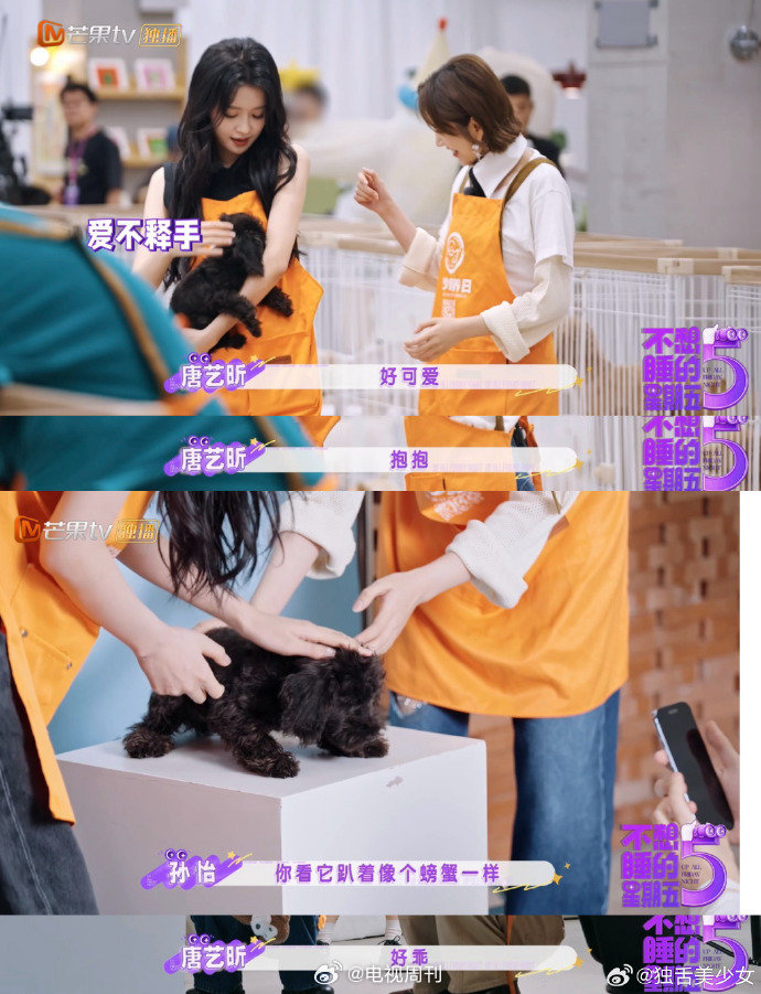 孙怡自带吸狗体质，小狗主动贴贴撒娇