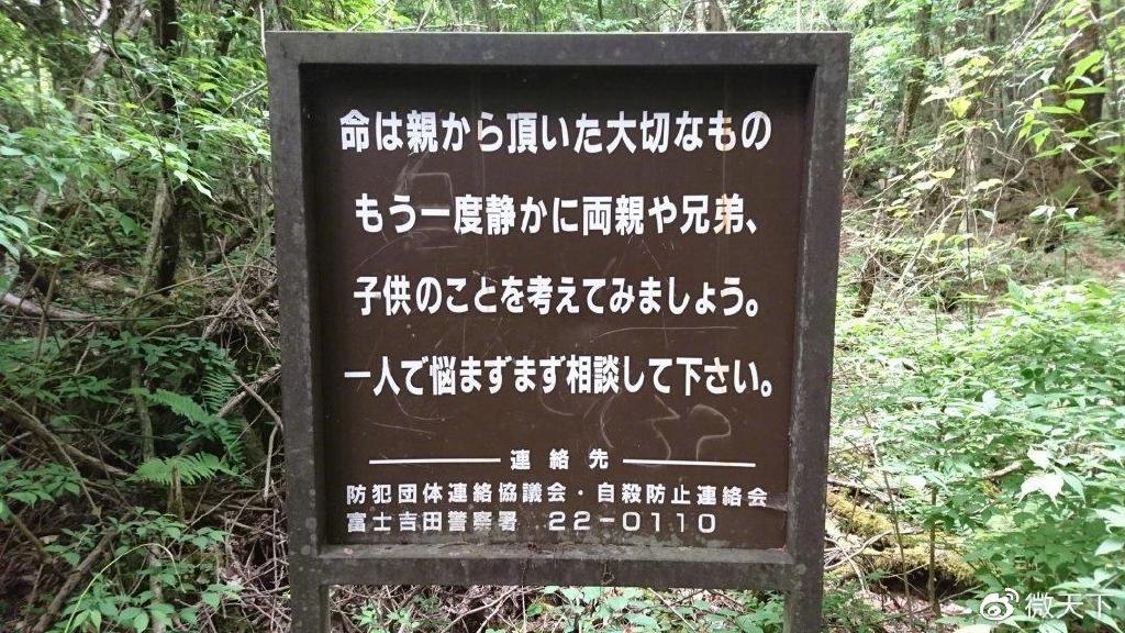 日本人从哪进的中国有人往日本自杀森林投放飞机杯,想让人进入贤者模式,放弃自杀?
