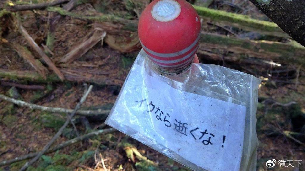日本人从哪进的中国有人往日本自杀森林投放飞机杯,想让人进入贤者模式,放弃自杀?