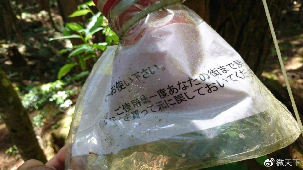 日本人从哪进的中国有人往日本自杀森林投放飞机杯,想让人进入贤者模式,放弃自杀?