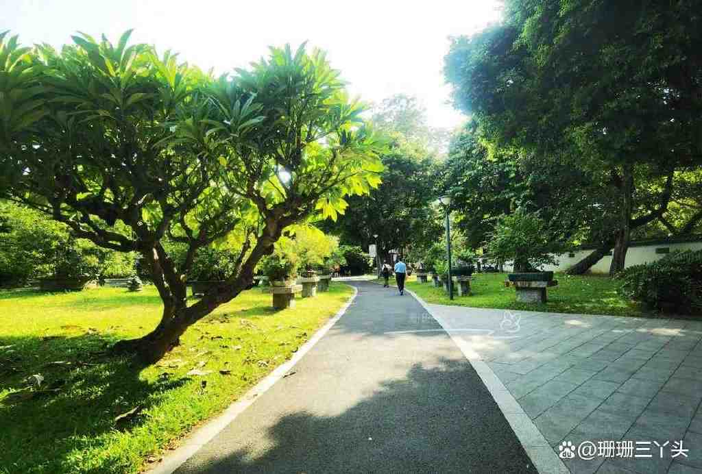 助孕公司(广州这地铁旁的公园,有36年前“英女王”亲手种的橡树,现如何?)