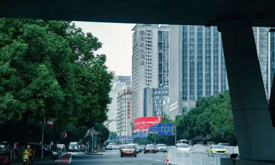 洞庭湖路 新浪网