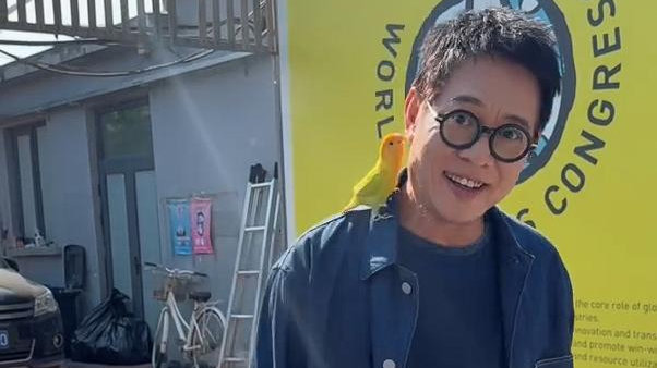 李连杰突然病倒，评论区抓抛妻弃女不放，同是犯错为何他更难宽恕