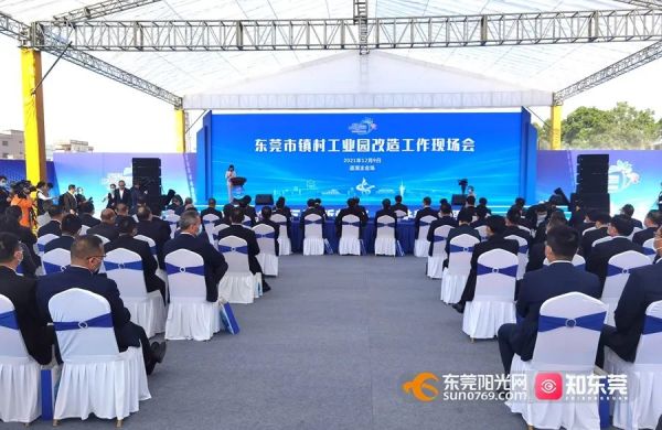 东莞36个性项目图片全解析与入门指南