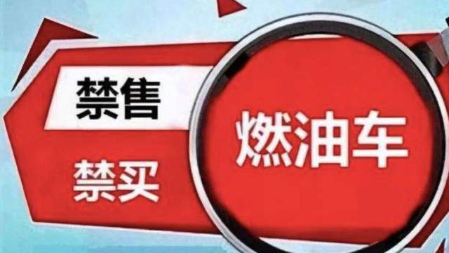 禁油车海南打响第一枪，过早地支持新能源汽车真有必要吗？