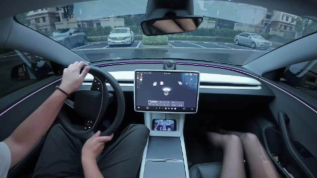 特斯拉得不得吃