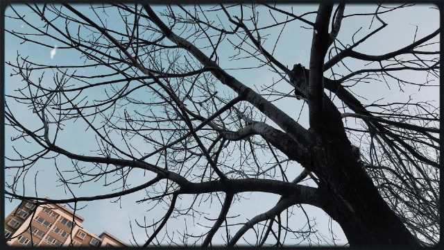 冬日限定出行搭子—仰望U7