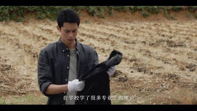 老警经验挂x菜鸟理论派，最佳「探案搭子」撕开黑暗奔赴真相