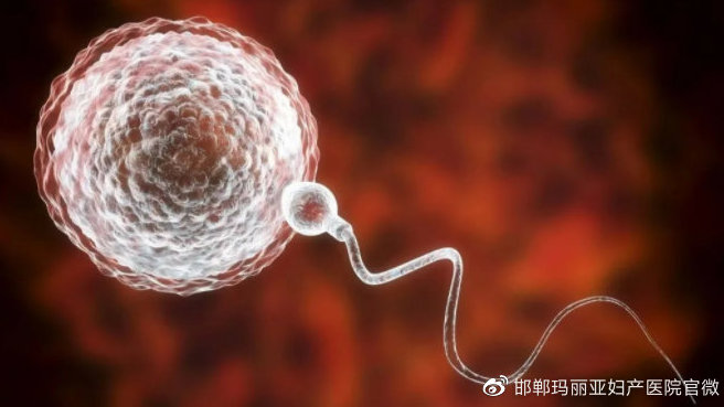 怀孕试纸阳和弱阳 如何判断？