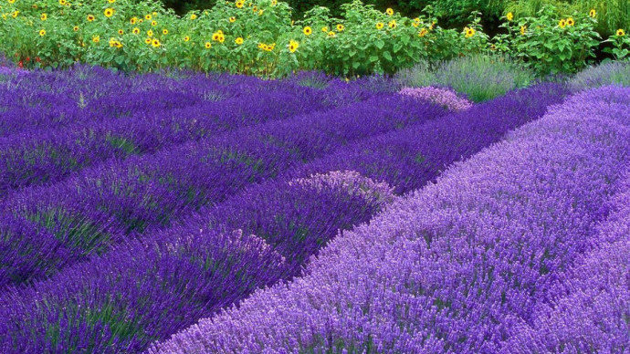 按时做四轮定位跟动平衡有什么 好处呢？