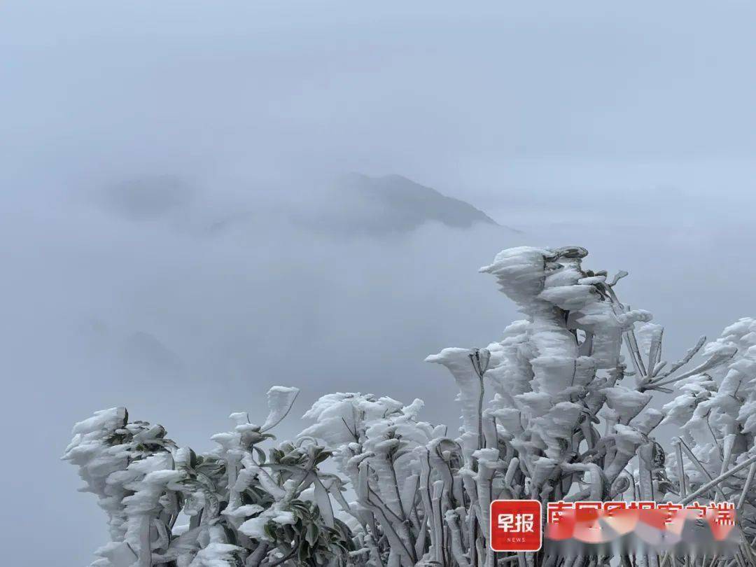 南宁迎来下半年最冷天气大明山雾凇到货了