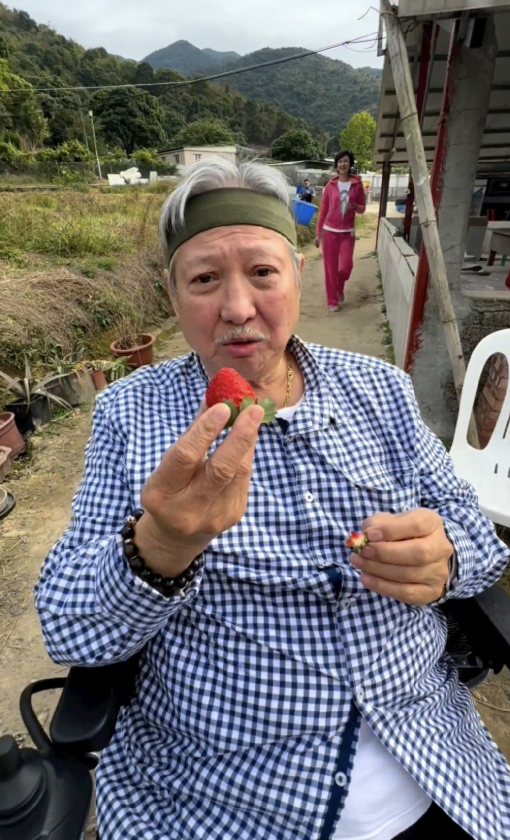 洪金宝71岁生日乐享农家乐，坐轮椅与孙子摘草莓，满头白发很精神