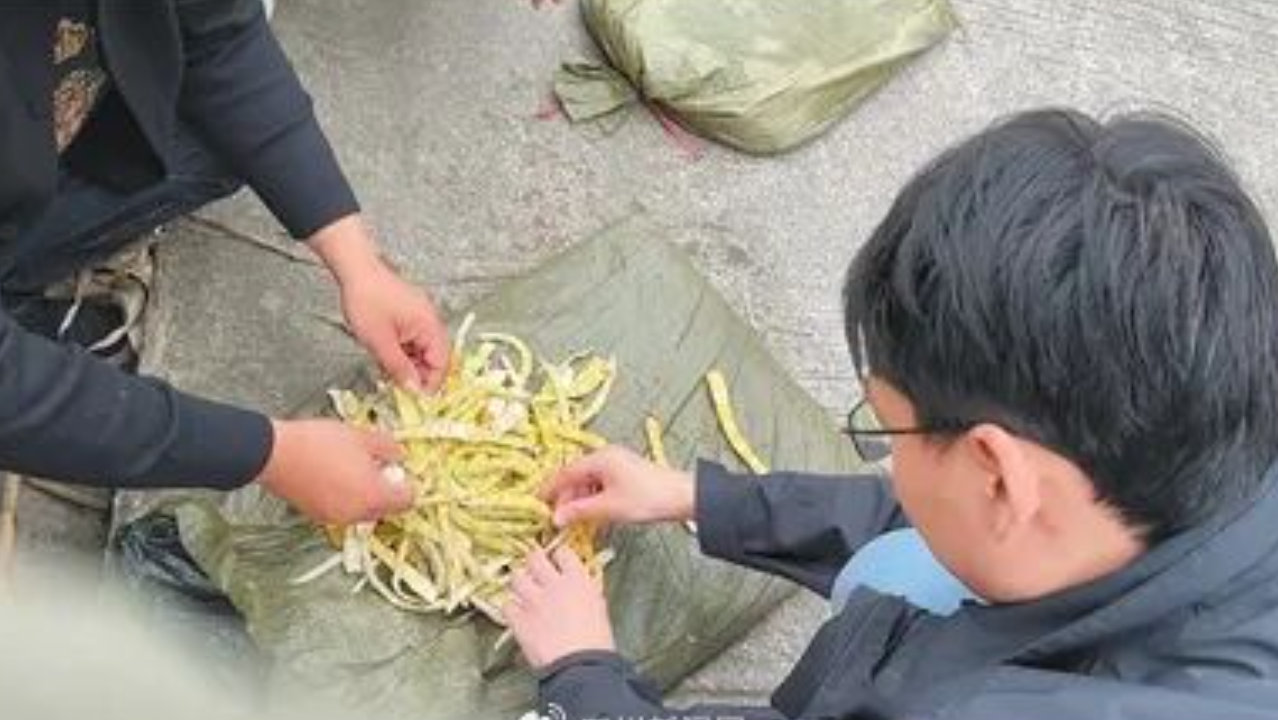 鲜竹笋用硫磺熏制?人民日报记者调查 鲜竹笋用硫磺熏制?人民日报记者调查