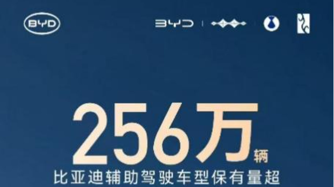 256 万 + 用户共同选择，比亚迪辅助驾驶跑出加速度