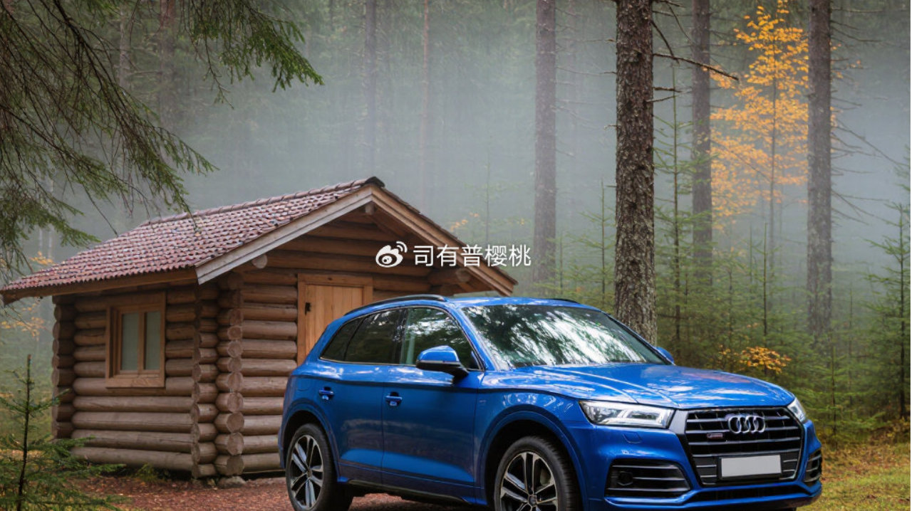 奥迪Q5L发动机烧机油简单高效治理方案