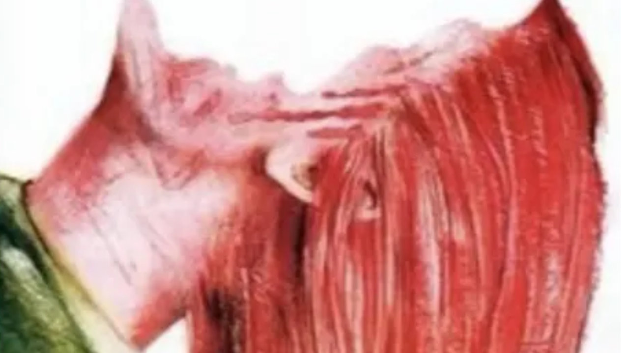 万盛老街茶馆开讲！这部被封了8年的电影，把“审问”玩出了新高度