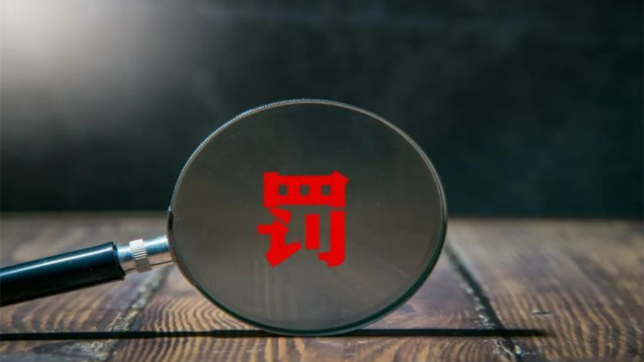 多家上市公司财务造假，立体追责重拳出击，券商投行责任生态须重塑