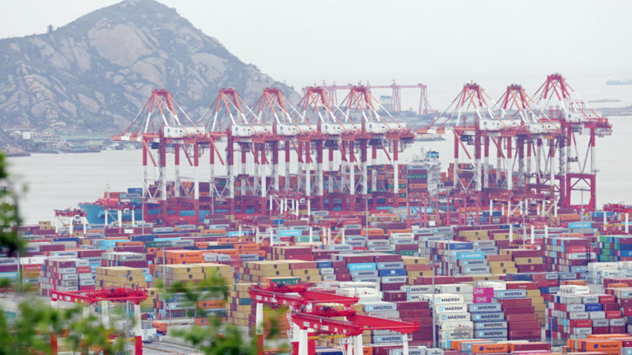 上海上半年GDP增长5.6%，靠什么越跑越稳