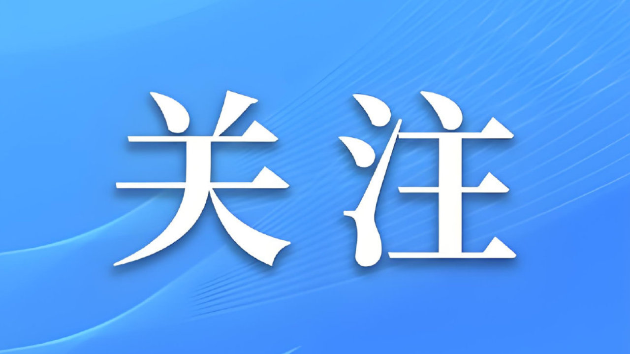 麦播首仗怎么打?小麦专家支招→ 麦播首仗怎么打?小麦专家支招→