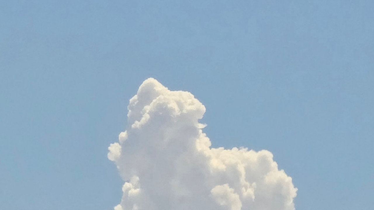 12星座最容易被哪个瞬间击中内心,第一名太甜了 12星座最容易被哪个瞬间击中内心,第一名太甜了
