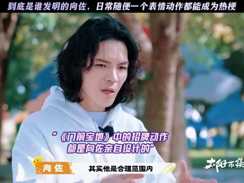 到底是谁发明的向佐，日常随便一个表情动作都能成为热梗