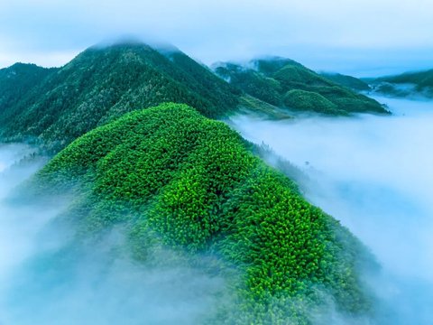 度假酒店特惠住 【溯溪、漂流、萤火虫】莫干山2间夜799起,暑期提前开抢!宠物友好!