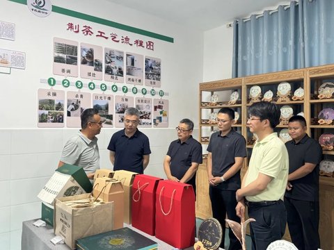 山海情深助振兴 结对赋能启新篇——上海市新金山农商实业发展集团有限公司、金山区供销合作社赴镇沅开展沪滇协作工作考察