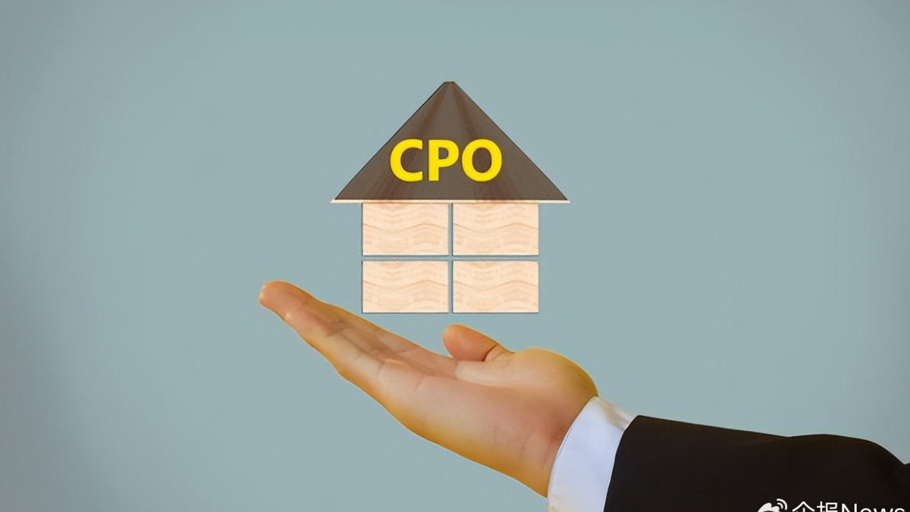 CPO跌停潮：一场情绪与逻辑的碰撞