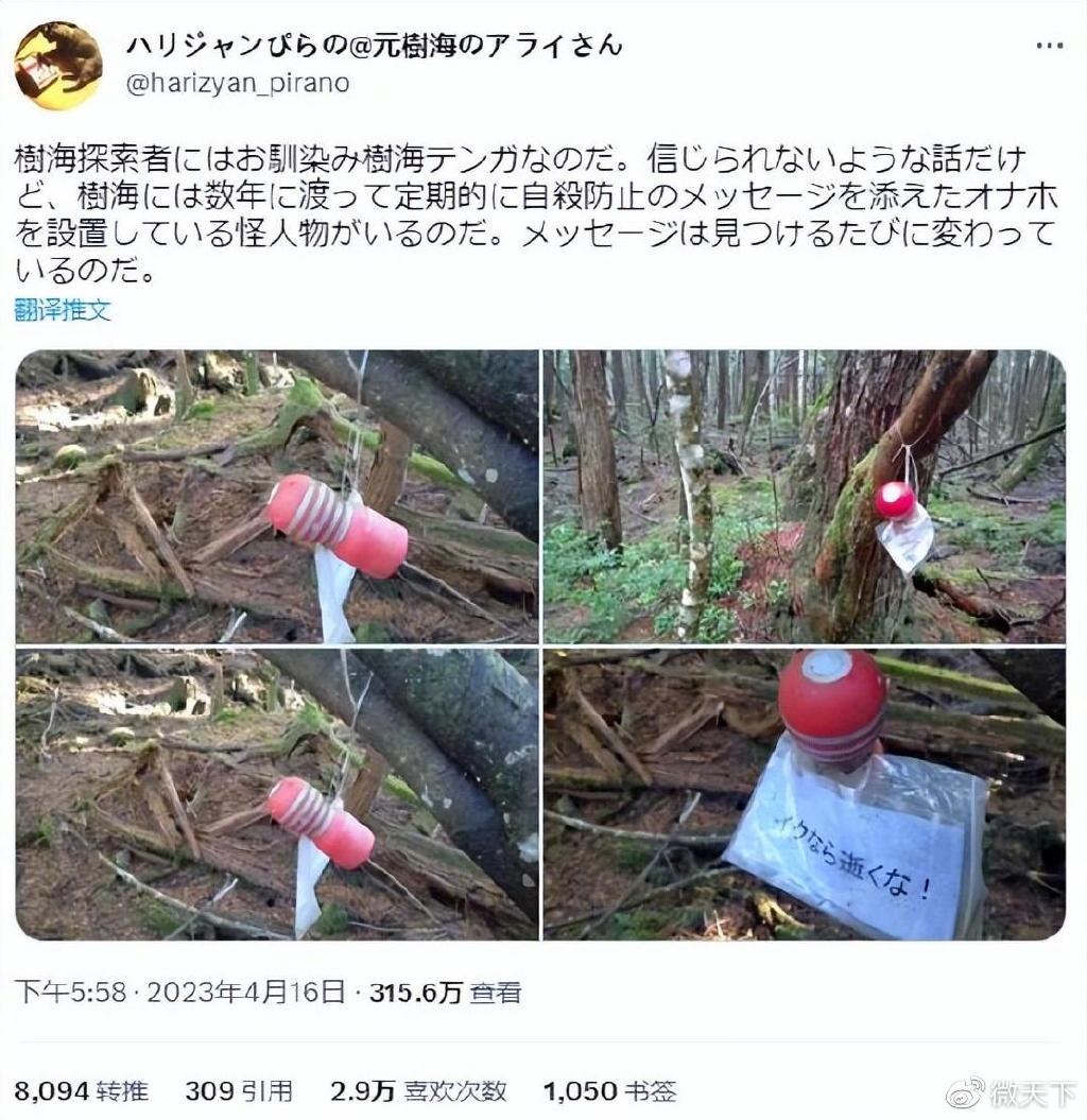 日本人从哪进的中国有人往日本自杀森林投放飞机杯,想让人进入贤者模式,放弃自杀?