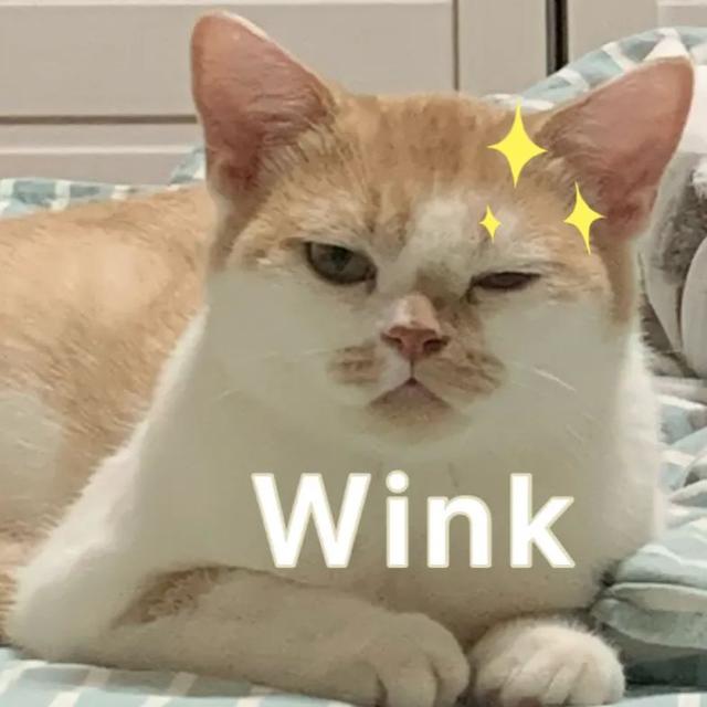 云南人请注意！今年起，强制安装