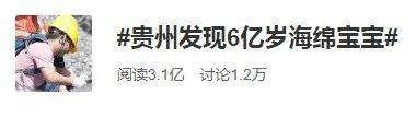 5亿年前的化石！6亿岁“海绵宝宝”！贵州的“宝贝”藏不住了