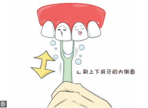 自我口腔保健第一步:教你正确的刷牙“姿势”休闲区蓝鸢梦想 - Www.slyday.coM 自我口腔保健第一步:教你正确的刷牙“姿势”休闲区蓝鸢梦想 - Www.slyday.coM