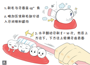 自我口腔保健第一步:教你正确的刷牙“姿势”休闲区蓝鸢梦想 - Www.slyday.coM 自我口腔保健第一步:教你正确的刷牙“姿势”休闲区蓝鸢梦想 - Www.slyday.coM