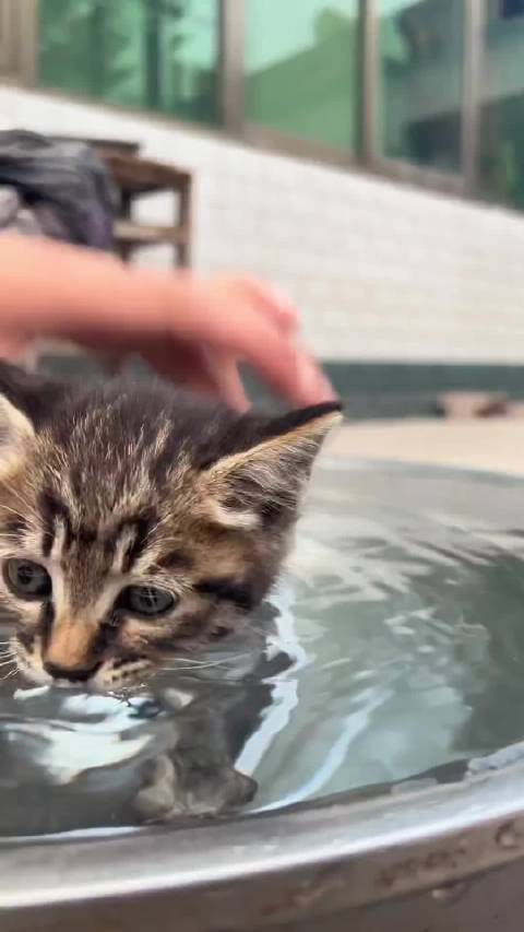 天道直接出手干预了嘛？有点意思