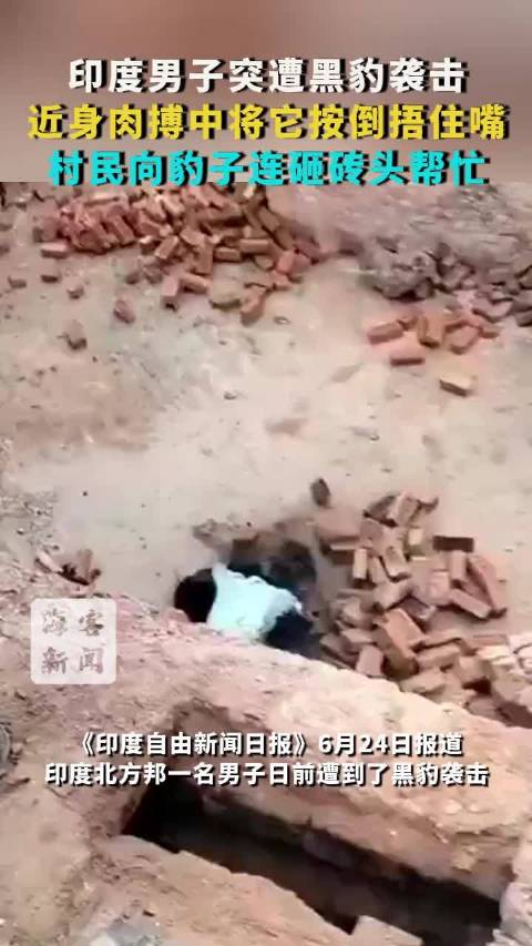 印度男子突遭黑豹袭击：近身肉搏中将它按倒捂住嘴 村民向豹子连砸砖头帮忙