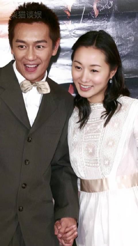 陈浩民情史回顾，蒋丽莎5年生4胎稳固婚姻