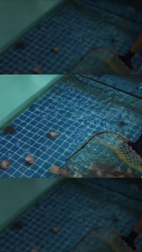 白鹿李昀锐取快递遇系统故障，整排柜门突然全开