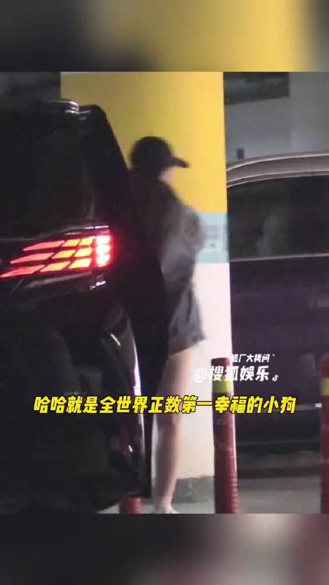 哈哈简直全世界正数第一幸福的小狗
