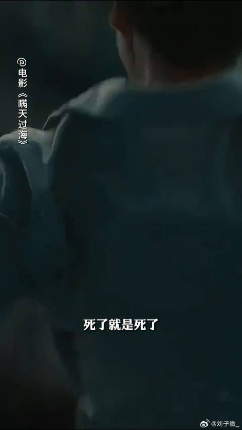 电影瞒天过海 里复仇刀人，面对权势滔天的恶人，复仇必须当断则断!微博VC计划