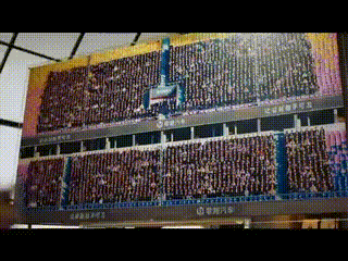 这几年，新能源算是真正进入决赛圈，一方面跑得慢的开始掉队，甚至倒闭…