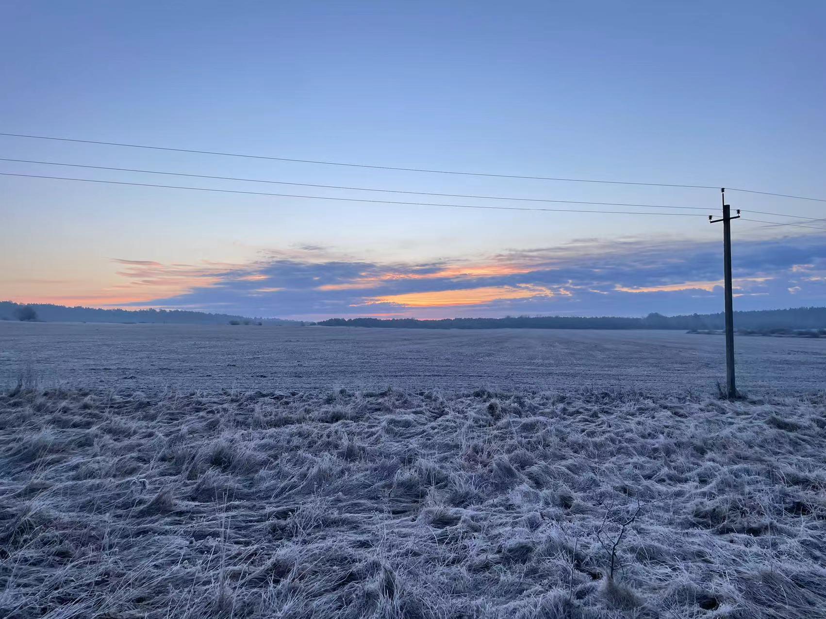 进入波兰的江西留学生：乌边境村民免费提供围巾帽子，我把斑点狗送给了当地人