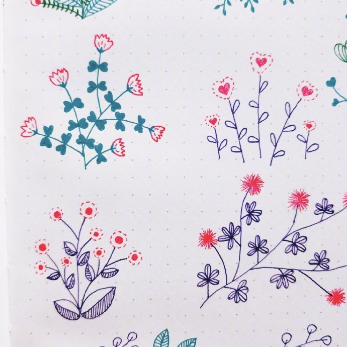 简单又好看的花卉植物绘画,存了,动手画一画crciqiuy