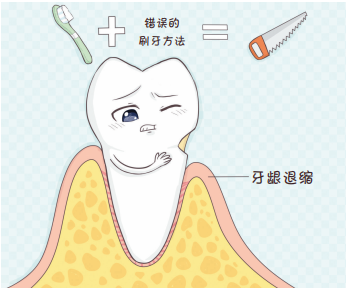 自我口腔保健第一步:教你正确的刷牙“姿势”休闲区蓝鸢梦想 - Www.slyday.coM 自我口腔保健第一步:教你正确的刷牙“姿势”休闲区蓝鸢梦想 - Www.slyday.coM