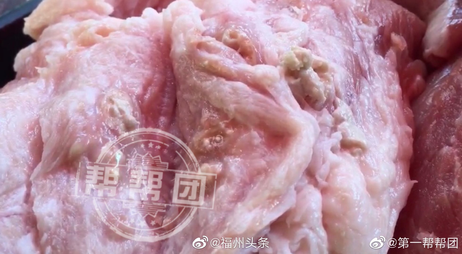 这样的猪肉敢吃吗切开时不断涌出白色豆腐渣物质