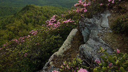 如何正确保养汽车？8个正确保养汽车小知识