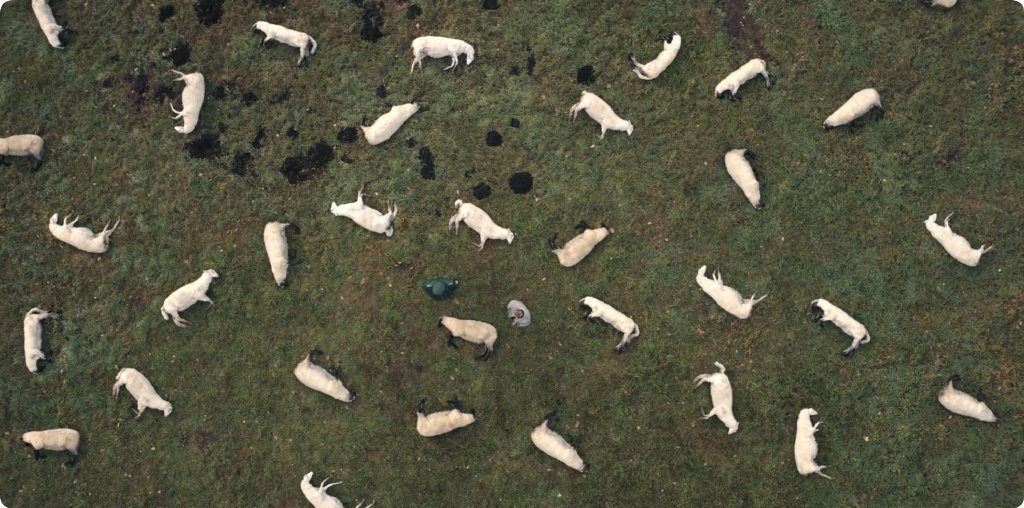 高分科幻悬疑德剧推荐，均分9.2分，烧脑程度碾压《盗梦空间》